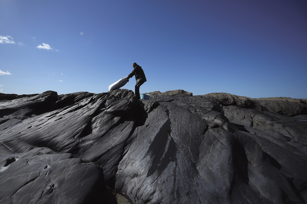 Patrick Darcy, a seaweed harvester, heaves a sack full of harvested Dillisk seaweed (palmaria palmata) to carry on his back in the County Clare village of Quilty, Ireland.