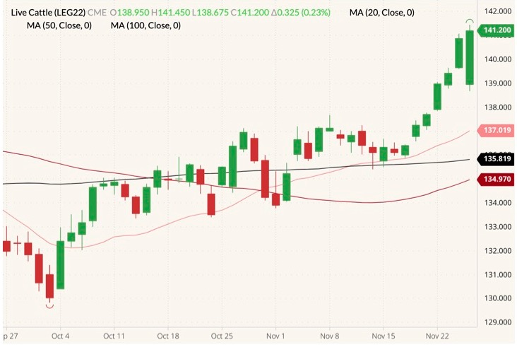 CME February 2022 live cattle (candlesticks) with 20-, 50- and 100-day moving averages (pink, dark red and black lines). (Barchart)
