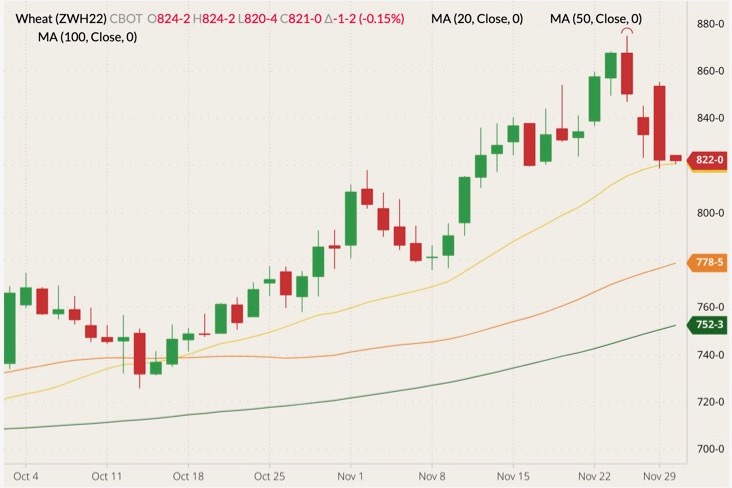 CBOT March 2022 wheat (candlesticks) with 20-, 50- and 100-day moving averages (yellow, orange and dark green lines). (Barchart)
