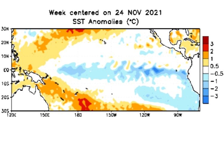 Pacific sea surface temperature anomalies in degrees Celsius for the week centred on Nov. 24, 2021. Cooler-than-neutral sea surface temperatures at the equator are known to set up a La Nina event. (CPC.ncep.noaa.gov)
