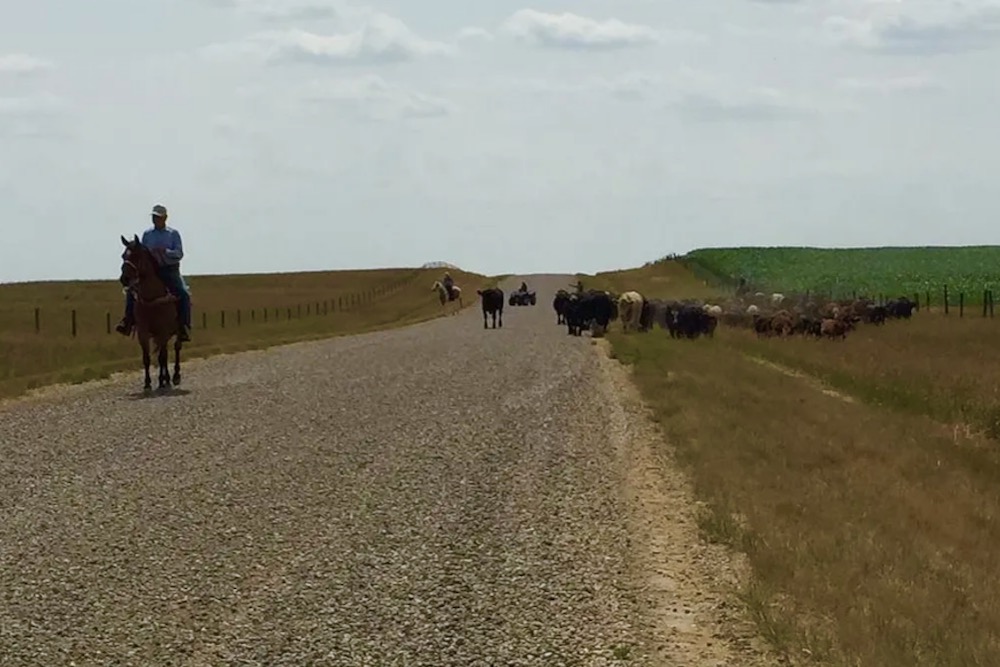 Shipwheel Cattle Feeders of Taber, Alta. has found it can boost soil organic matter by integrating regenerative agriculture practices.