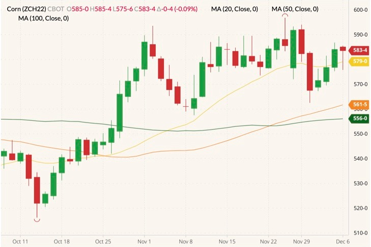 CBOT March 2022 corn (candlesticks) with 20-, 50- and 100-day moving averages (yellow, orange and dark green lines). (Barchart)
