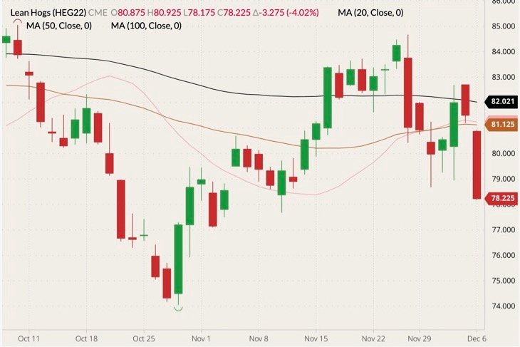 CME February 2022 lean hogs (candlesticks) with 20-, 50- and 100-day moving averages (pink, brown and black lines). (Barchart)
