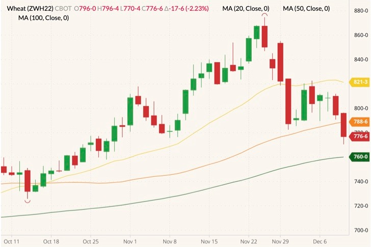 CBOT March 2022 wheat (candlesticks) with 20-, 50- and 100-day moving averages (yellow, orange and dark green lines). (Barchart)
