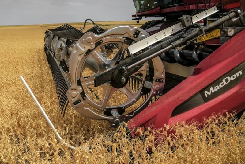 A promotional photo of a MacDon FD2 FlexDraper header in a soybean field in Montana. (FD2.Macdon.com)

