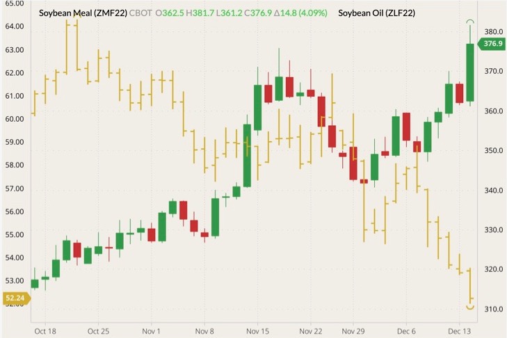 CBOT January 2022 soybean meal (candlesticks) with January 2022 soybean oil (yellow O/H/L/C, left column). (Barchart)
