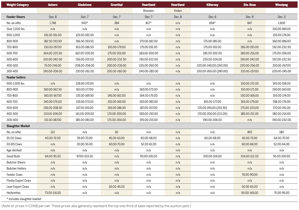 How a single calf brought in $40,000