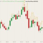 CBOT March 2022 wheat (candlesticks) with K.C. March 2022 wheat (yellow O/H/L/C). (Barchart)
