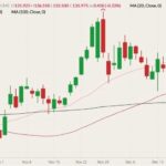 CME February 2022 live cattle (candlesticks) with 20-, 50- and 100-day moving averages (pink, dark red and black lines). (Barchart)
