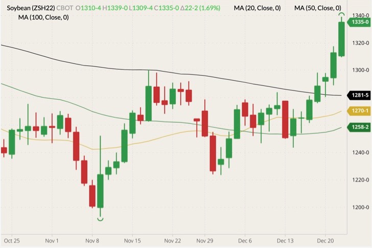 CBOT March 2022 soybeans (candlesticks) with 20-, 50- and 100-day moving averages (yellow, dark green and black lines). (Barchart)
