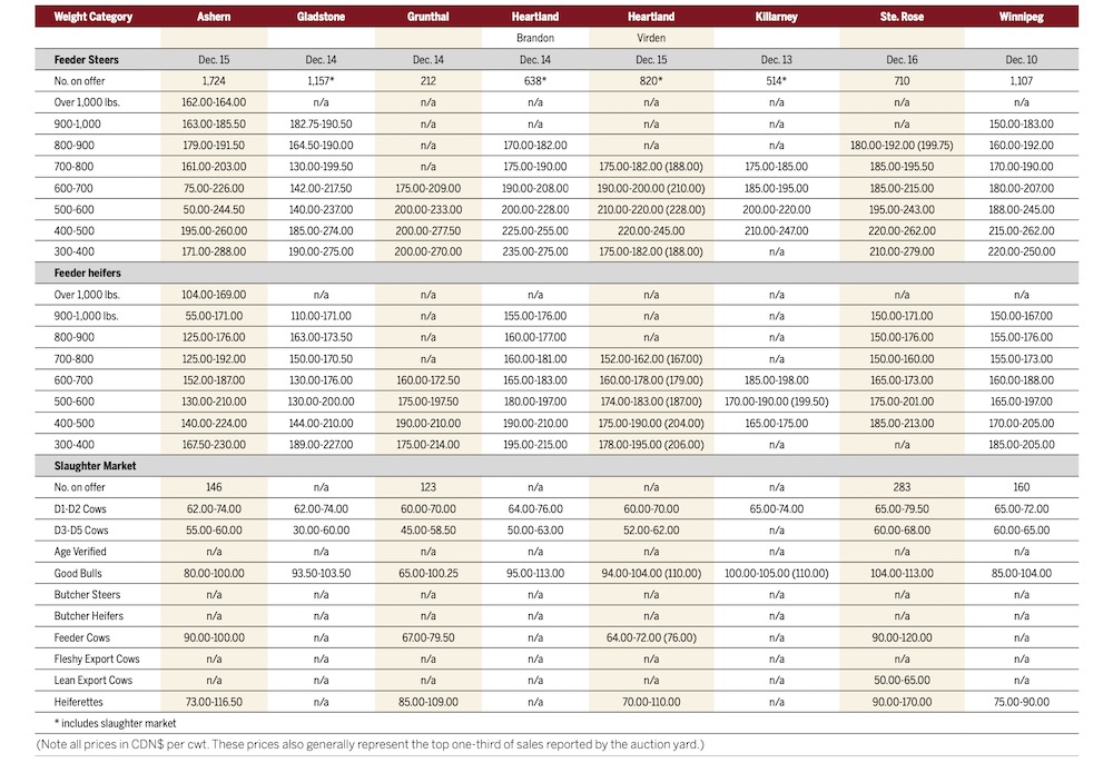 manitoba livestock auction results