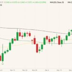 CBOT March 2022 soybeans (candlesticks) with 20-, 50- and 100-day moving averages (yellow, green and black lines). (Barchart)
