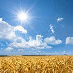 Photo: Yurly_Kulik/iStock/Getty Images
