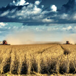 A report from the Smart Prosperity Institute says a well-targeted, comprehensive package of policies is needed for the agriculture sector to promote economic growth while reducing environmental harm.