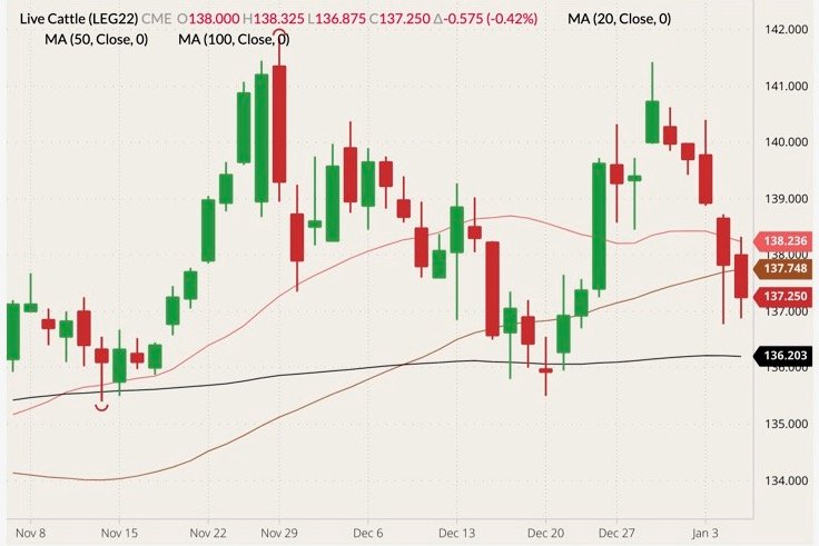 CME February 2022 live cattle (candlesticks) with 20-, 50- and 100-day moving averages (pink, brown and black lines). (Barchart)
