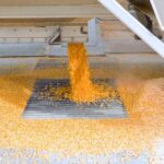 (BanksPhotos/Getty Images)
