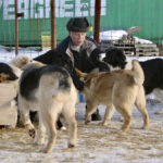 More people are interested in adopting dogs from the Barrhead Animal Rescue Society, says Terry Colborne.
