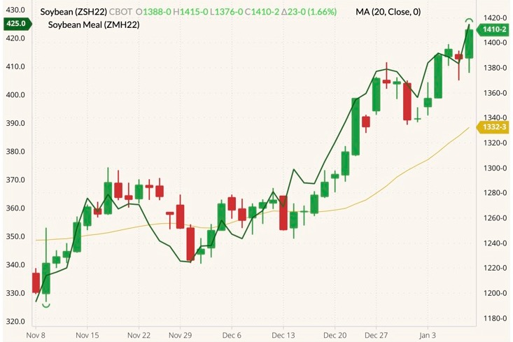 CBOT March 2022 soybeans (candlesticks) with 20-day moving average (yellow line) and CBOT March 2022 soymeal (green line, left column). (Barchart)
