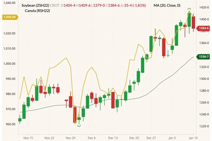 CBOT March 2022 soybeans (candlesticks) with 20-day moving average (green line) and ICE March 2022 canola (yellow line, left column). (Barchart)
