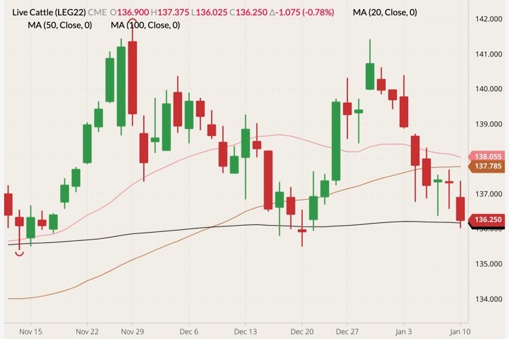 CME February 2022 live cattle (candlesticks) with 20-, 50- and 100-day moving averages (pink, brown and black lines). (Barchart)

