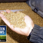 David Derwin of PI Financial discussed how farmers can capture high grain prices while avoiding risk in the Between the Rows podcast episode, ‘Foodgrains Bank boosters, capitalizing on your commodities’ which aired on Dec. 9, 2021.