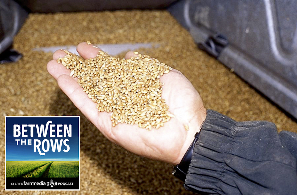 David Derwin of PI Financial discussed how farmers can capture high grain prices while avoiding risk in the Between the Rows podcast episode, ‘Foodgrains Bank boosters, capitalizing on your commodities’ which aired on Dec. 9, 2021.