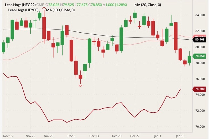 CME February 2022 lean hogs (candlesticks) with 20- and 100-day moving averages (pink and black lines) and CME cash lean hog index (dark red line). (Barchart)
