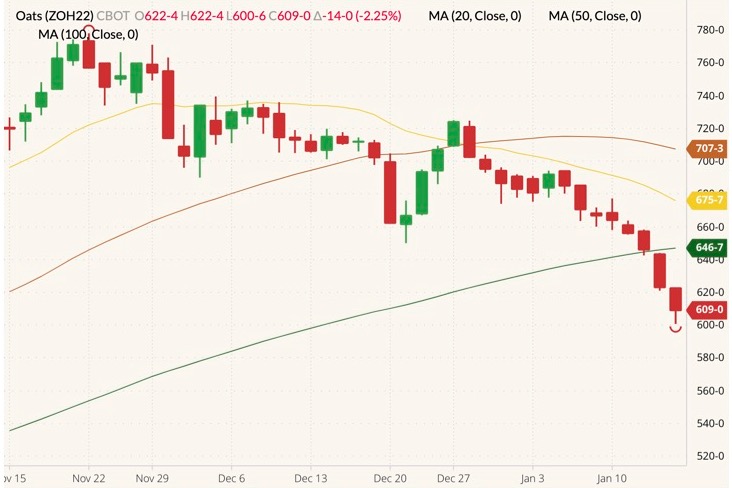 CBOT March 2022 oats (candlesticks) with 20-, 50- and 100-day moving averages (yellow, brown and dark green lines). (Barchart)
