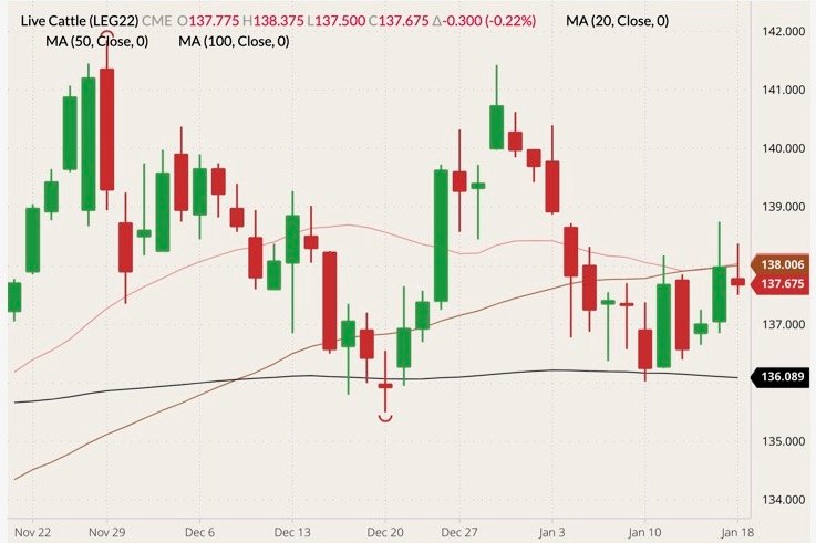 CME February 2022 live cattle (candlesticks) with 20-, 50- and 100-day moving averages (pink, brown and black lines). (Barchart)
