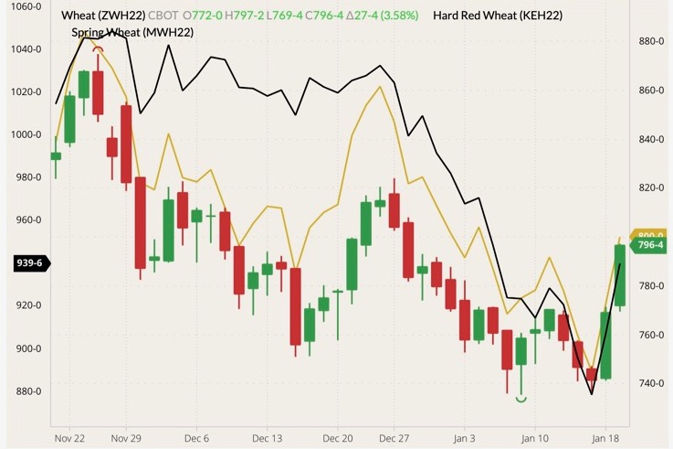 CBOT March 2022 wheat (candlesticks) with K.C. March 2022 wheat (yellow line) and MGEX March 2022 wheat (black line, left column). (Barchart)
