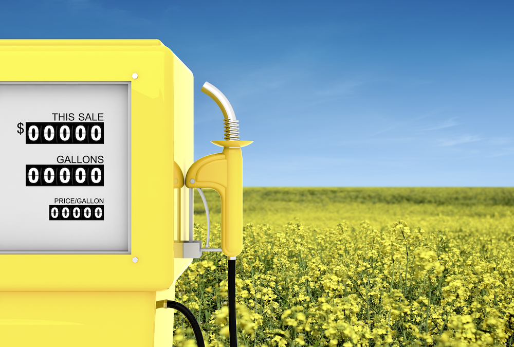 Renewable diesel is going to be a game changer for Canada’s favourite oilseed. Here’s how.