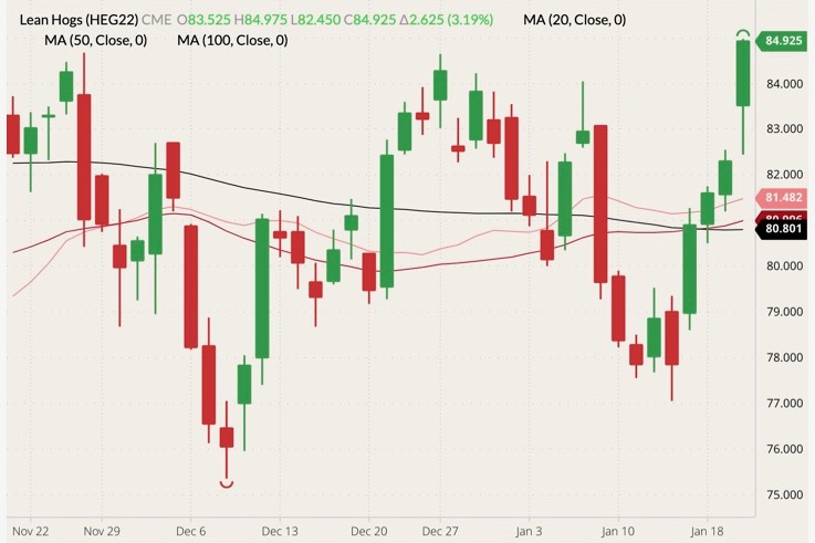 CME February 2022 lean hogs (candlesticks) with 20-, 50- and 100-day moving averages (pink, dark red and black lines). (Barchart)
