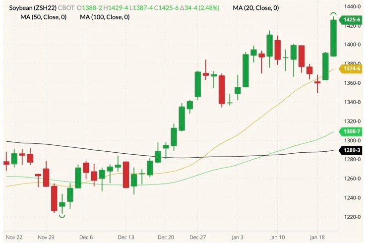 CBOT March 2022 soybeans (candlesticks) with 20-, 50- and 100-day moving averages (yellow, green and black lines). (Barchart)
