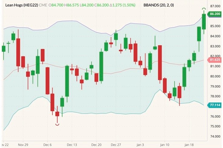 CME February 2022 lean hogs (candlesticks) with Bollinger bands (20,2). (Barchart)
