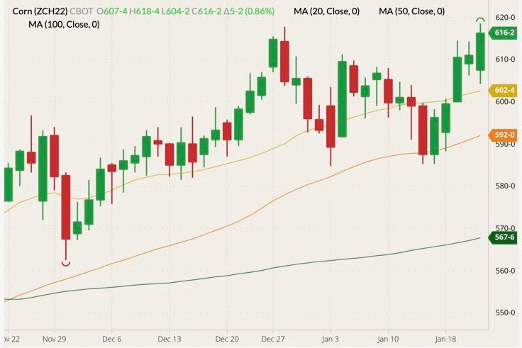 CBOT March 2022 corn (candlesticks) with 20-, 50- and 100-day moving averages (yellow, orange and dark green lines). (Barchart)
