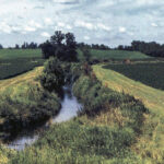 Riparian buffer zones might be attractive from a simplicity perspective, but they’ll need to be just part of the run-off solution.