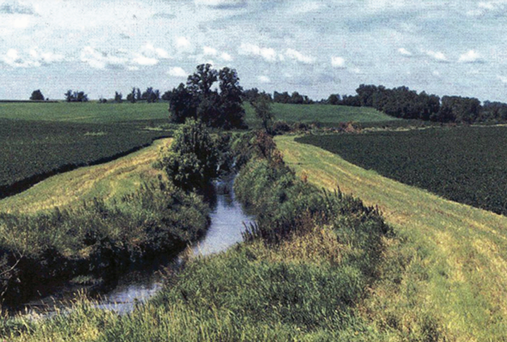 Riparian buffer zones might be attractive from a simplicity perspective, but they’ll need to be just part of the run-off solution.