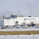 Maple Leaf Foods says all its plants — including the one in Brandon — are still in operation despite pandemic pressures.