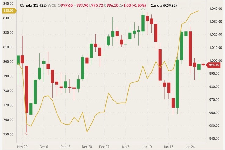 ICE March 2022 canola (candlesticks, right column) with November 2022 canola (yellow line, left column). (Barchart)
