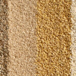 The Canadian Seeds Growers Association sees variety registration as key to quality control.