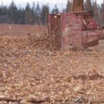 A tractor-mounted snowblower runs through rows of piled-up surplus potatoes on a field near Victoria, P.E.I., about 35 km west of Charlottetown, on Dec. 20, 2021. The shredded potatoes are expected to break down over the winter as compost. (Screengrab from P.E.I. Potato Board video)
