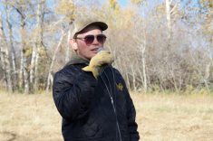 Zack Koscielny tours visitors through his cover crops and perennial pastures during a field tour in 2022.