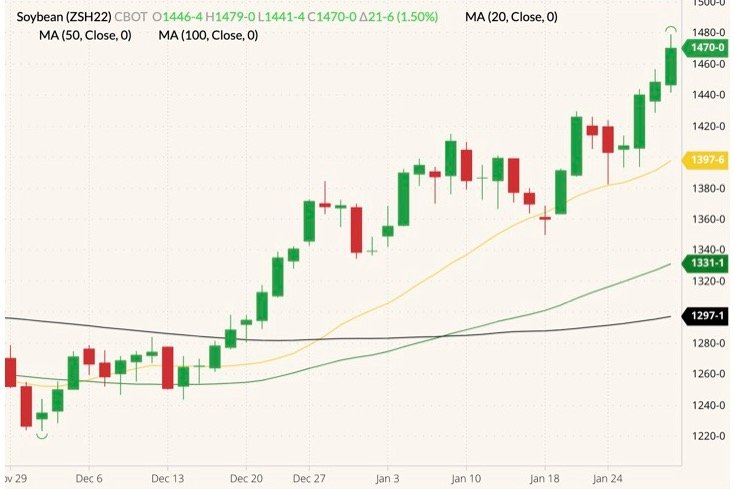 CBOT March 2022 soybeans (candlesticks) with 20-, 50- and 100-day moving averages (yellow, dark green and black lines). (Barchart)
