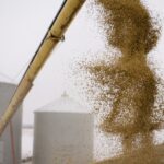 While the marketing process is different for everyone, it’s ultimately about converting your grain assets in to cash.