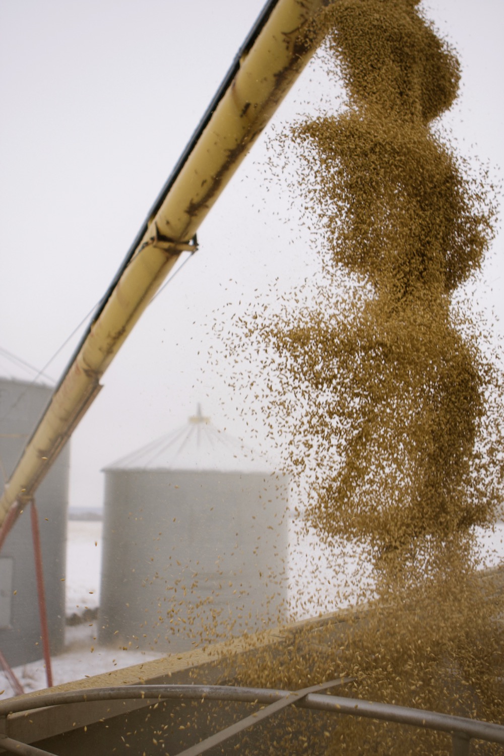 While the marketing process is different for everyone, it’s ultimately about converting your grain assets in to cash.