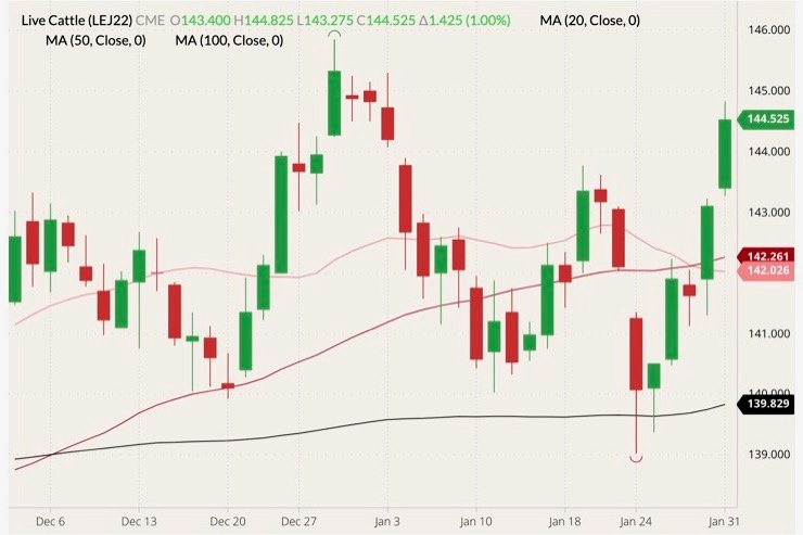 CME April 2022 live cattle (candlesticks) with 20-, 50- and 100-day moving averages (pink, dark red and black lines). (Barchart)

