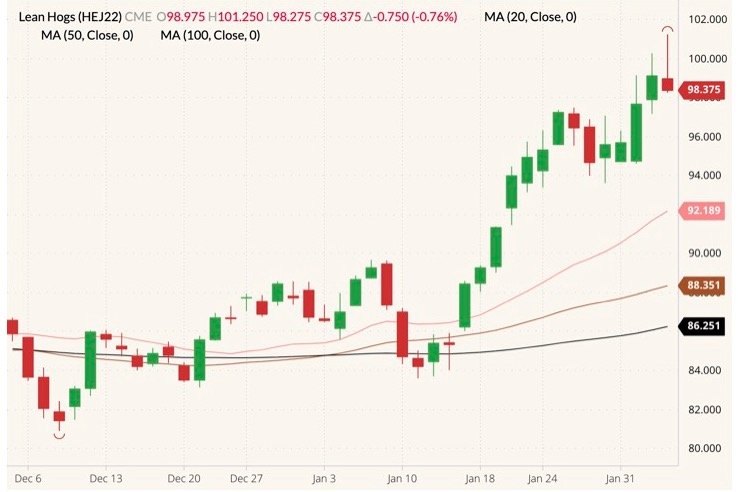 CME April 2022 lean hogs (candlesticks) with 20-, 50- and 100-day moving averages (pink, brown and black lines). (Barchart)
