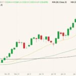 CBOT March 2022 soybeans (candlesticks) with 20-, 50- and 100-day moving averages (yellow, dark green and black lines). (Barchart)
