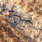 Agriculture’s role in fighting climate change discussed at KAP AGM