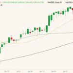 ICE November 2022 canola (candlesticks) with 20-, 50- and 100-day moving averages (yellow, dark green and black lines). (Barchart)
